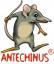Antechinus Animator Professional Icon