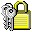 Lock PC Professional Icon