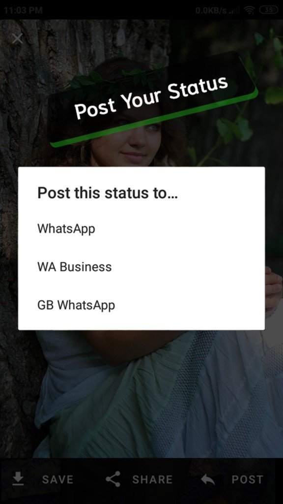 Whatsapp Status Saver for Android Free Download