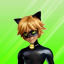 Miraculous Ladybug and Cat Noir - Official