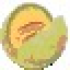 Melon Icon