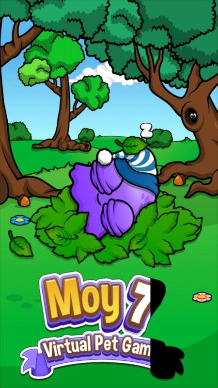 Moy 4 – Virtual Pet Game, Software