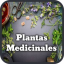 Plantas Medicinales y Curativas Icon