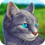 Cat Simulator - Animal Life Icon