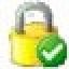 Advanced File Lock Icon