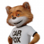 CARFAX Car Care App Icon