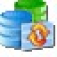SQL Examiner Suite 2008 Icon