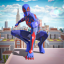 Spider Fighting: Hero Game Icon