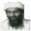 Recycle Bin Laden Icon