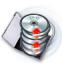 Wise Clone DVD Icon