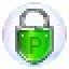 Private exe Protector Icon