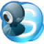 Camersoft Skype Video Recorder Icon