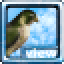 Falco Viewer Icon
