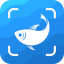 Picture Fish - Fish Identifier Icon