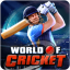 World Of Cricket Icon
