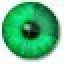 eEye Blink Free Personal Edition Icon
