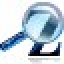 Zoom Search Engine Standard Icon