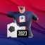 PSG Football Freestyle Icon