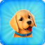 Dog Town: Pet Shop Game Icon